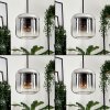 Lauden Hanglamp, Hanglamp Blauw, Groen, Duidelijk, Koperkleurig, Rookkleurig, 6-lichts