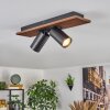 Dalan Plafondlamp, Plafondspot LED Natuurlijke kleuren, Zwart, 2-lichts
