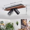 Dalan Plafondlamp, Plafondspot LED Natuurlijke kleuren, Zwart, 2-lichts