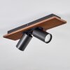 Dalan Plafondlamp, Plafondspot LED Natuurlijke kleuren, Zwart, 2-lichts
