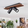 Dalan Plafondlamp, Plafondspot LED Natuurlijke kleuren, Zwart, 2-lichts