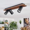 Dalan Plafondlamp, Plafondspot LED Natuurlijke kleuren, Zwart, 3-lichts