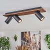 Dalan Plafondlamp, Plafondspot LED Natuurlijke kleuren, Zwart, 3-lichts