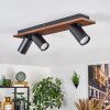 Dalan Plafondlamp, Plafondspot LED Natuurlijke kleuren, Zwart, 3-lichts