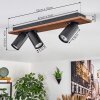 Dalan Plafondlamp, Plafondspot LED Natuurlijke kleuren, Zwart, 3-lichts