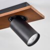 Dalan Plafondlamp, Plafondspot LED Natuurlijke kleuren, Zwart, 3-lichts