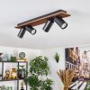 Dalan Plafondlamp, Plafondspot LED Natuurlijke kleuren, Zwart, 4-lichts