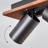 Dalan Plafondlamp, Plafondspot LED Natuurlijke kleuren, Zwart, 4-lichts