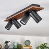 Dalan Plafondlamp, Plafondspot LED Natuurlijke kleuren, Zwart, 4-lichts