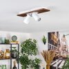 Dalan Plafondlamp, Plafondspot LED Natuurlijke kleuren, Wit, 2-lichts