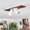 Dalan Plafondlamp, Plafondspot LED Natuurlijke kleuren, Wit, 2-lichts