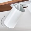 Dalan Plafondlamp, Plafondspot LED Natuurlijke kleuren, Wit, 2-lichts