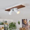 Dalan Plafondlamp, Plafondspot LED Natuurlijke kleuren, Wit, 2-lichts
