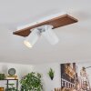 Dalan Plafondlamp, Plafondspot LED Natuurlijke kleuren, Wit, 2-lichts