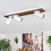Dalan Plafondlamp, Plafondspot LED Natuurlijke kleuren, Wit, 3-lichts
