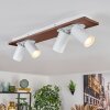 Dalan Plafondlamp, Plafondspot LED Natuurlijke kleuren, Wit, 4-lichts