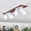 Dalan Plafondlamp, Plafondspot LED Natuurlijke kleuren, Wit, 4-lichts