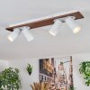 Dalan Plafondlamp, Plafondspot LED Natuurlijke kleuren, Wit, 4-lichts