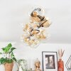 Ripoll Plafondlamp, Kogellampje Goud, Zwart, 8-lichts