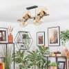 Ripoll Plafondlamp, Kogellampje Goud, Zwart, 8-lichts