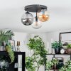 Gastor Plafondlamp, Kogellampje 30 cm Amber, Duidelijk, Rookkleurig, 3-lichts