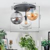 Gastor Plafondlamp, Kogellampje 30 cm Amber, Duidelijk, Rookkleurig, 3-lichts