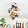 Ripoll Plafondlamp, Kogellampje Goud, Zwart, 8-lichts