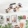Ripoll Plafondlamp, Kogellampje Goud, Zwart, 8-lichts