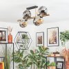 Ripoll Plafondlamp, Kogellampje Goud, Zwart, 8-lichts