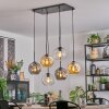 Ripoll Hanglamp, Kogellampje, Hanglamp Amber, Duidelijk, Rookkleurig, 6-lichts