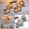 Ripoll Plafondlamp, Kogellampje Goud, Zwart, 8-lichts
