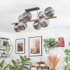 Ripoll Plafondlamp, Kogellampje Goud, Zwart, 8-lichts