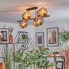 Ripoll Plafondlamp, Kogellampje Goud, Zwart, 8-lichts