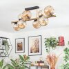 Ripoll Plafondlamp, Kogellampje Goud, Zwart, 8-lichts