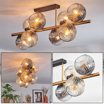 Ripoll Plafondlamp, Kogellampje Goud, Zwart, 8-lichts