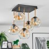Ripoll Plafondlamp, Kogellampje Goud, Zwart, 5-lichts