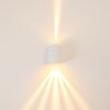 Außenwandleuchte Wandlamp voor buiten, Wandlamp LED Wit, 2-lichts