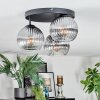 Koyoto Plafondlamp, Kogellampje Duidelijk, Rookkleurig, 3-lichts Koyoto Plafondlamp, Kogellampje Duidelijk, Rookkleurig, 3-lichts