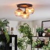 Koyoto Plafondlamp, Kogellampje Duidelijk, Rookkleurig, 3-lichts Koyoto Plafondlamp, Kogellampje Duidelijk, Rookkleurig, 3-lichts