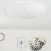 Emibois Plafondlamp LED Chroom, 1-licht