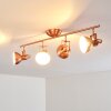 Tina Plafondlamp Koperkleurig, 4-lichts
