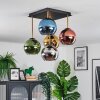 Koyoto Plafondlamp, Kogellampje Goud, Zwart, 5-lichts