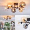 Gastor Plafondlamp, Kogellampje 62 cm Amber, Duidelijk, Rookkleurig, 6-lichts