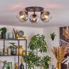 Koyoto Plafondlamp, Kogellampje Duidelijk, Rookkleurig, 3-lichts