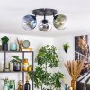 Gastor Plafondlamp, Kogellampje Blauw, Chroom, Groen, Duidelijk, Rookkleurig, 3-lichts Gastor Plafondlamp, Kogellampje Blauw, Chroom, Groen, Duidelijk, Rookkleurig, 3-lichts