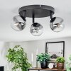 Chehalis Plafondlamp, Kogellampje Duidelijk, Rookkleurig, 3-lichts