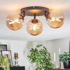 Chehalis Plafondlamp, Kogellampje Amber, 3-lichts