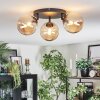 Chehalis Plafondlamp, Kogellampje Amber, 3-lichts