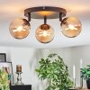 Chehalis Plafondlamp, Kogellampje Amber, 3-lichts