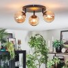 Chehalis Plafondlamp, Kogellampje Amber, 3-lichts
